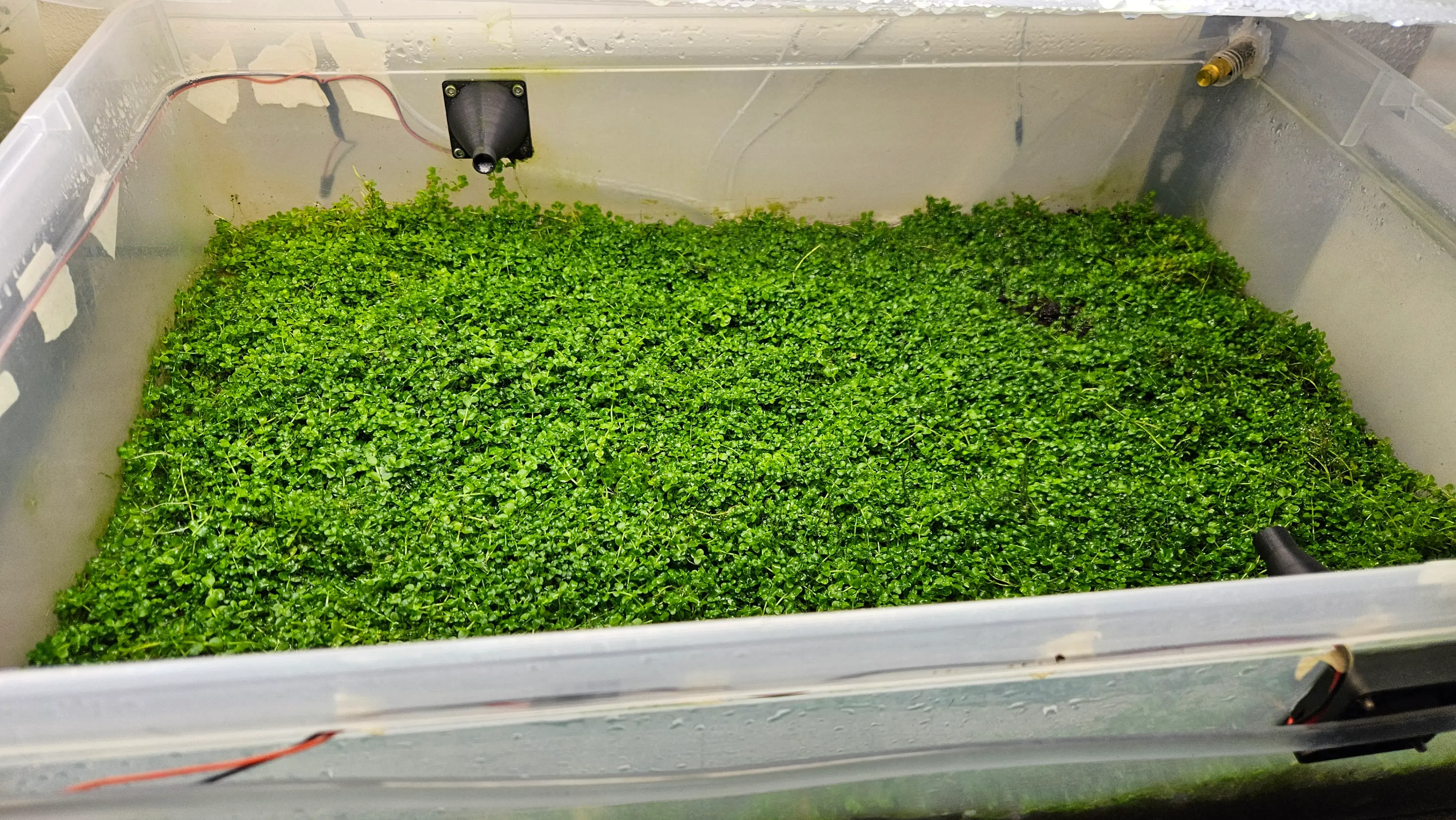 Aquatic plant farm image 1